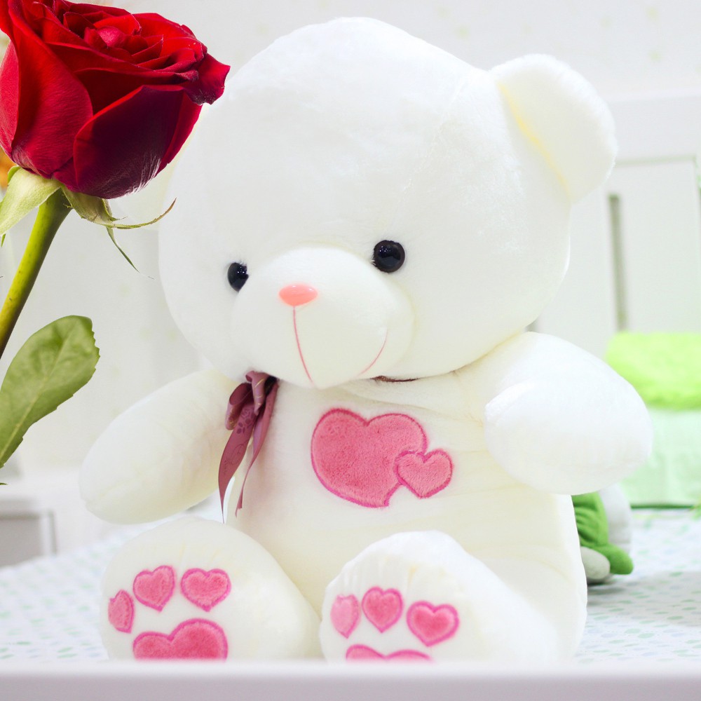 cute teddy bear big