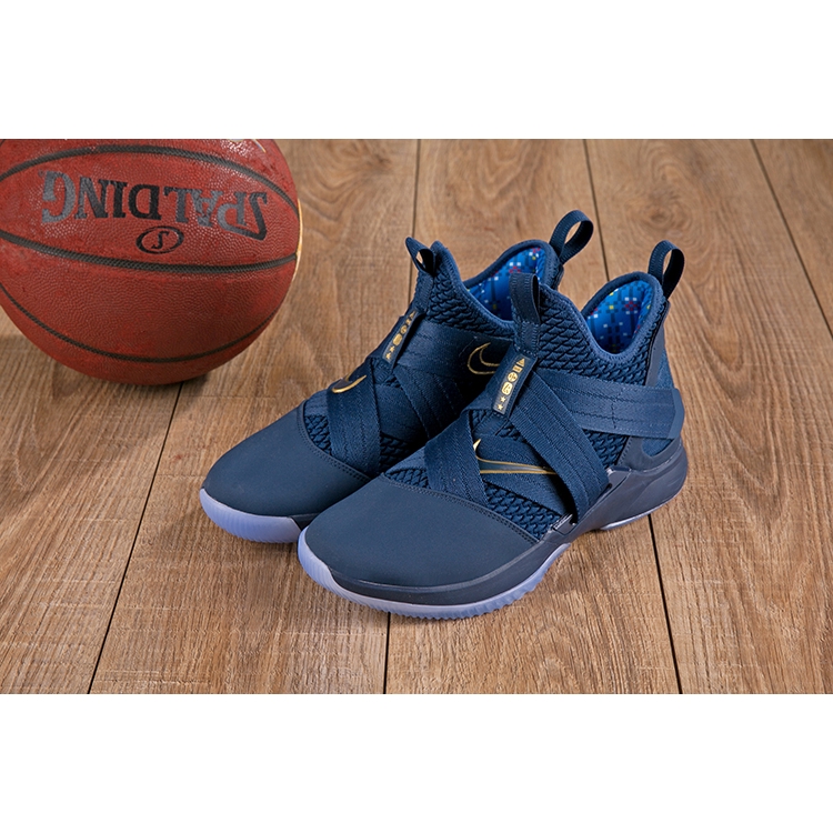 lebron navy blue shoes