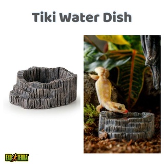 Exo Terra Tiki Water Dish Reptile Water Dish Water bowl feeding dish gecko lizards food bowl
