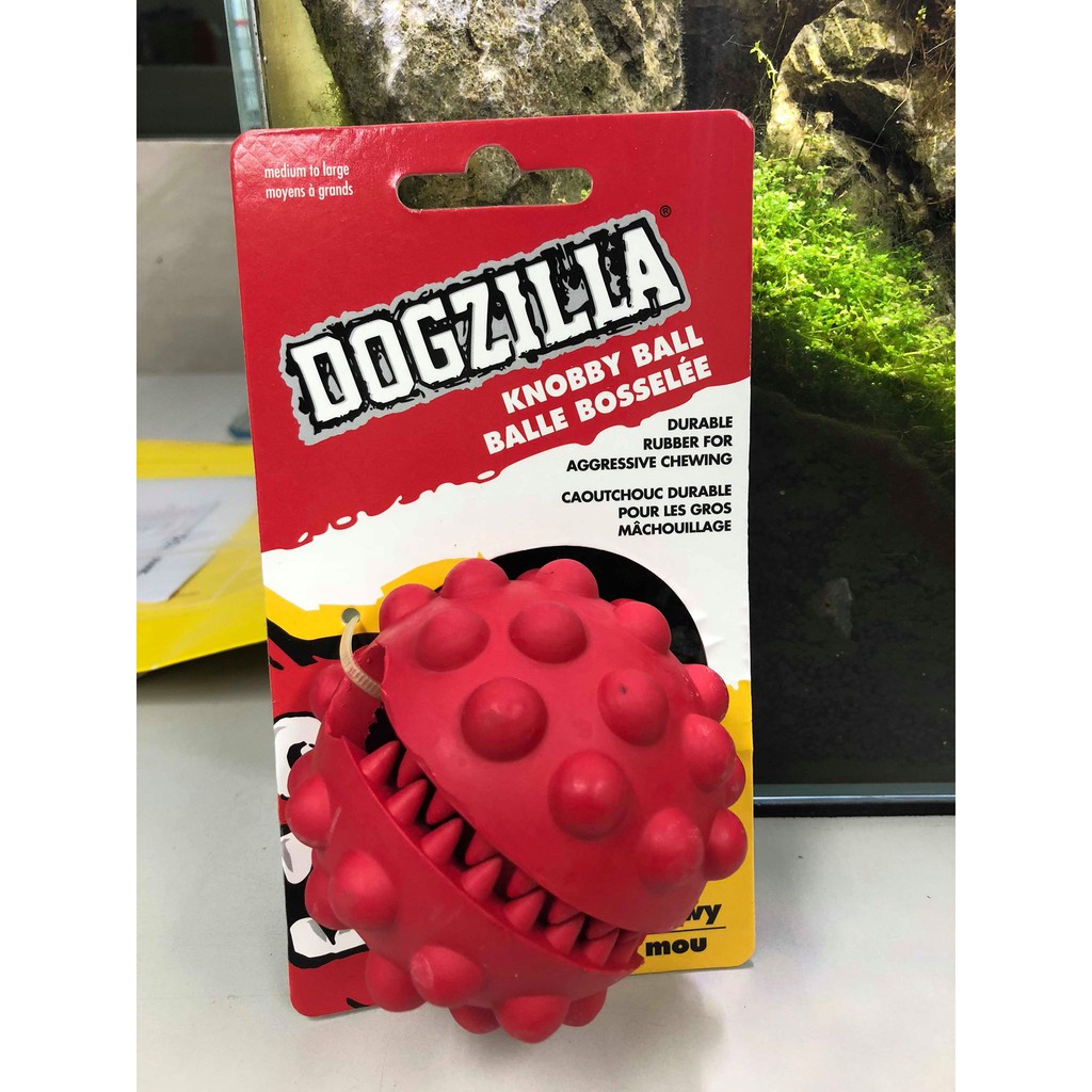 knobby ball dog toy