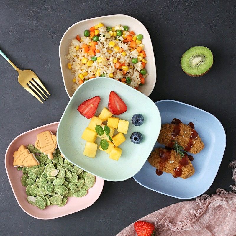 Unique Plastic Dining Plate Place Vegetables Vegetables SNACK Cake