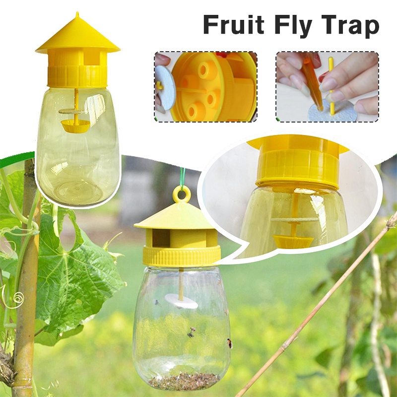 Plastic Drosophila Trap Wasp Trap Fruit Fly Attractant for Farm Orchard