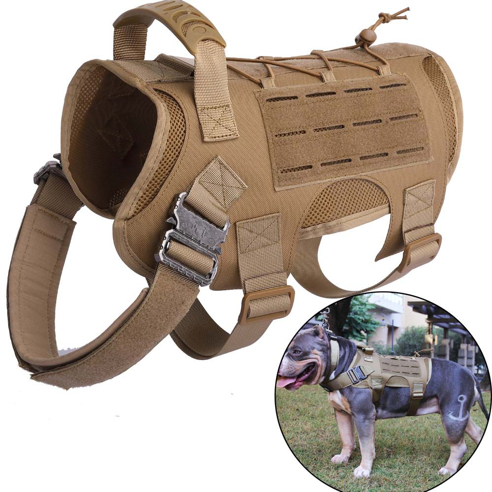 k9 harness with cobra buckle