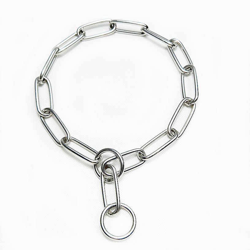 steel dog collar