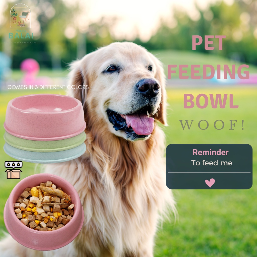 How Do You Clean Plastic Dog Water Bowls