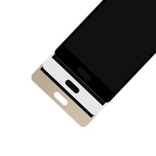 a500y