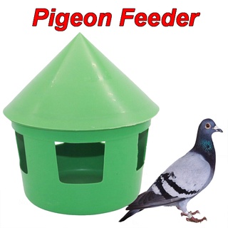 Multipurpose trough pigeon racing pigeon large loess conveyor trough pigeon feed trough health sand