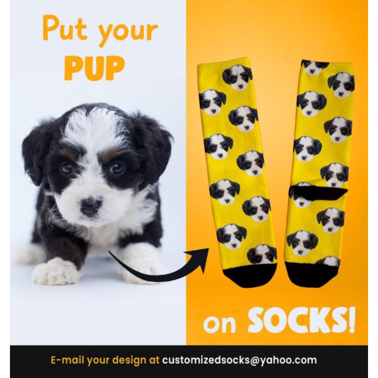 How To Put Socks On A Dog