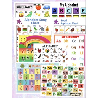 My Body Learning Chart - A4 Laminated | Shopee Philippines