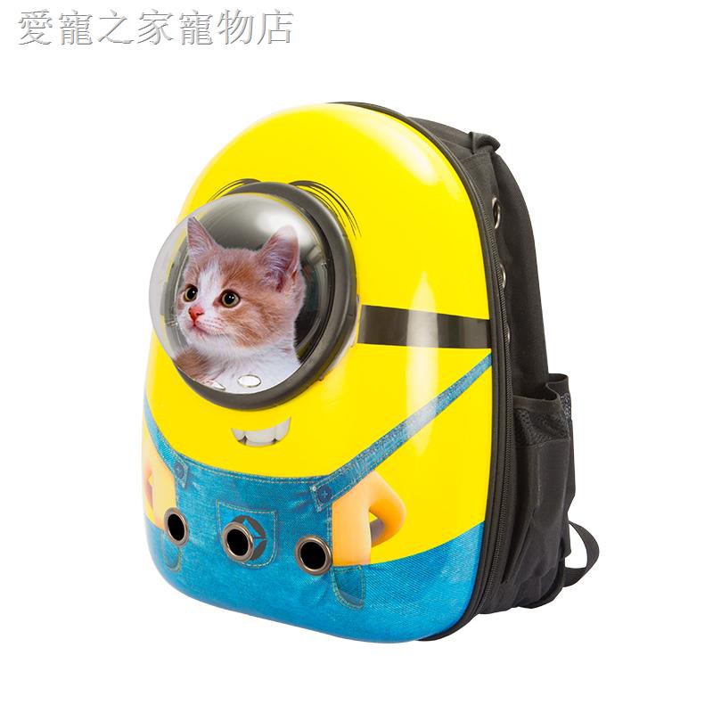 cat pack backpack