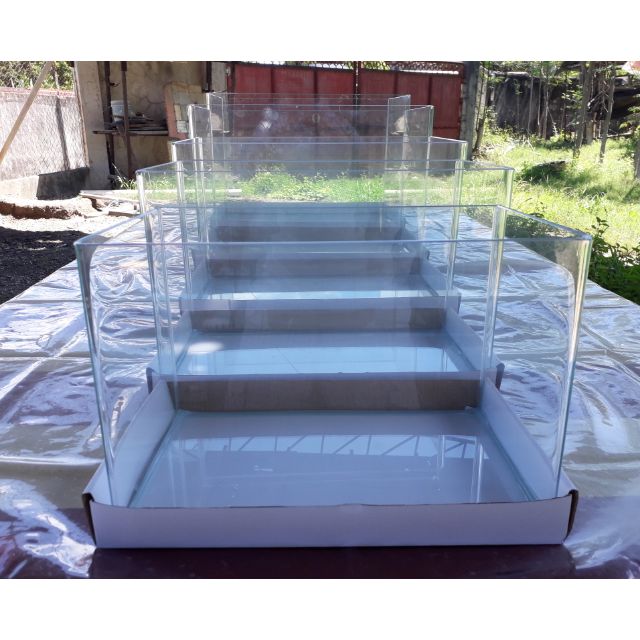 dogs for sale for free near me