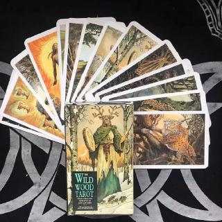 Wild Wood Tarot English Mysterious Animal Playing Cards Game Shopee Philippines