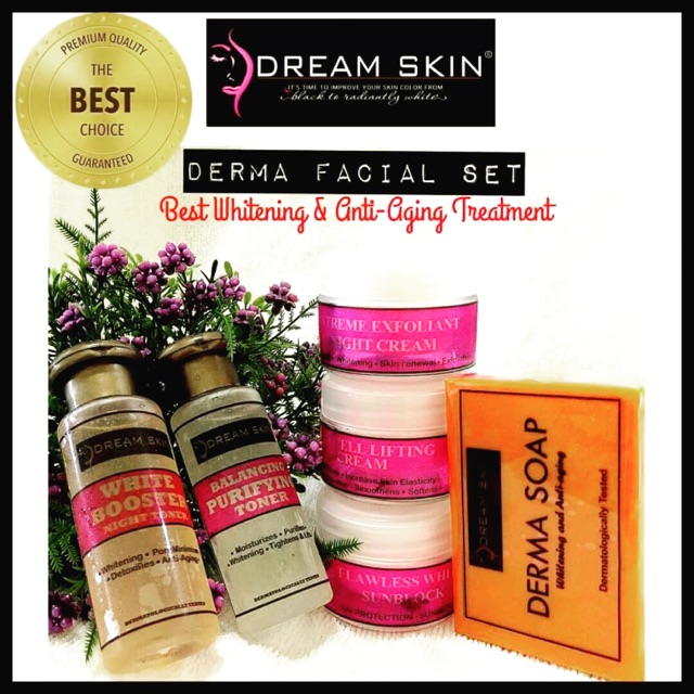 DREAM SKIN Derma Facial Set | Shopee 