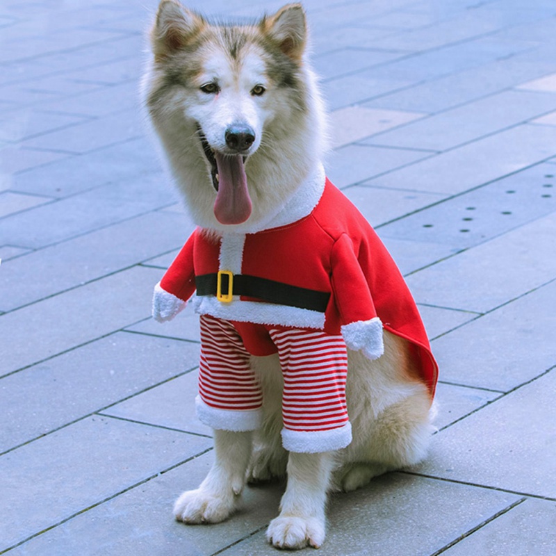 Santa Dog Costume | Christmas Pet Dog Costumes With Hat Cute Kawaii Funny  Santa Claus Costume For Dogs Winter Warm Coats Dog Clothes New 
