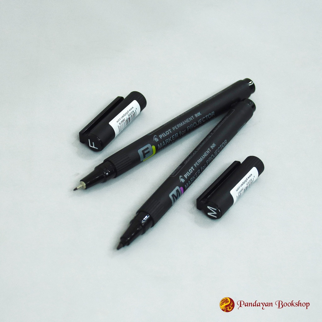 PILOT Permanent Ink Marker For Projector Erasable Ink with Plastic
