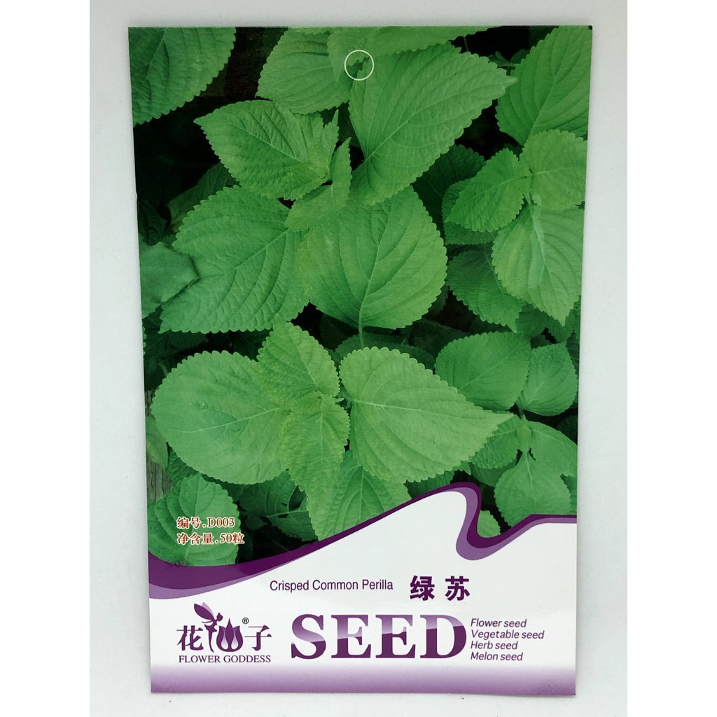 perilla-seeds-50-seeds-shopee-philippines