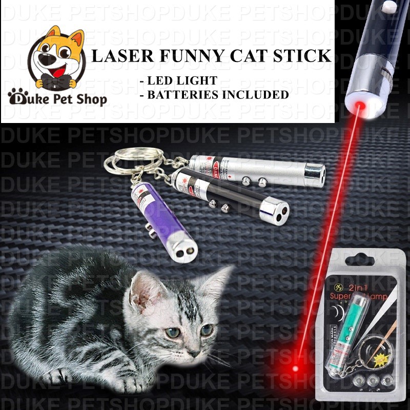 Laser funny cat stick New Cool 2 In1 Red Laser Pointer Pen With White LED  Light Childrens Play DOG | Shopee Philippines