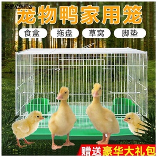 Special cage for raising ducklings at home indoor and outdoor chicken and duck cages can clean up sh