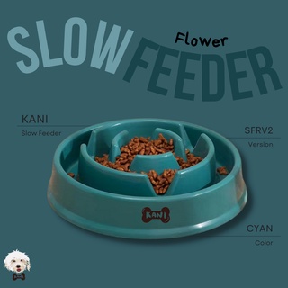 Anti-Choking Slow Feeder Dog Cat Puppy Food Bowl