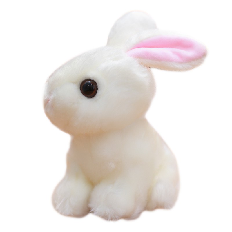 korean rabbit plush