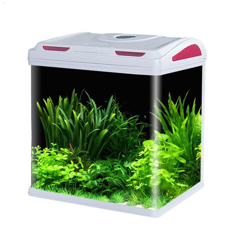 small fish tank price