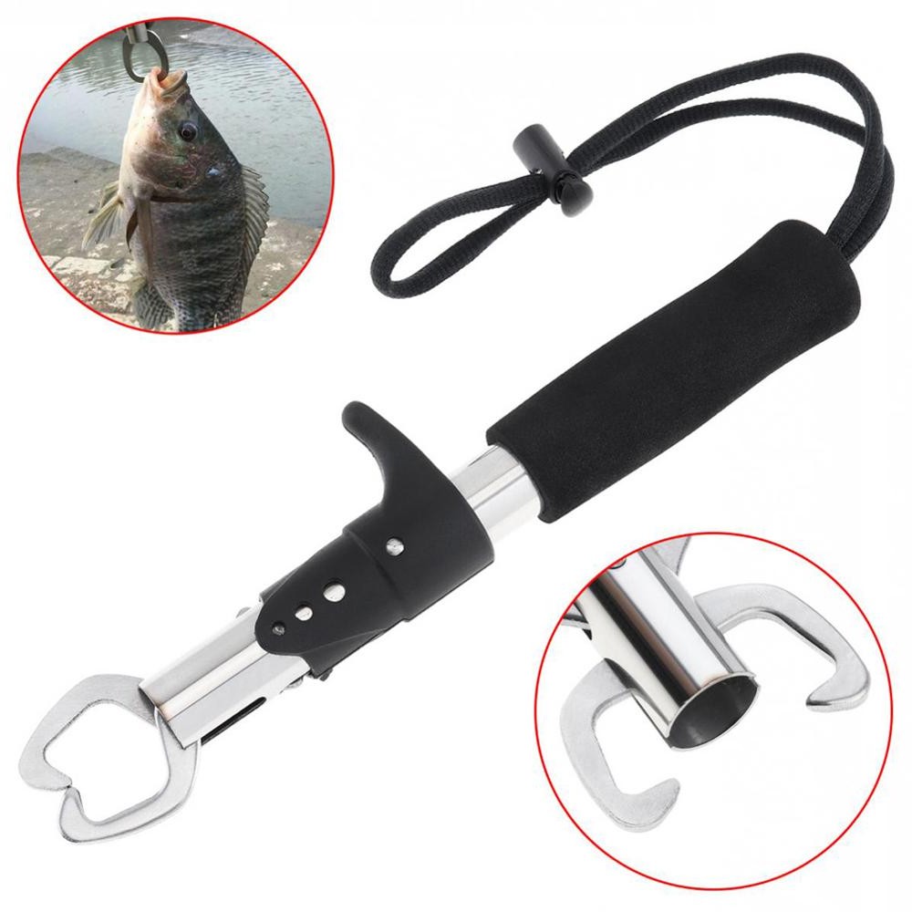 fish clamp holder