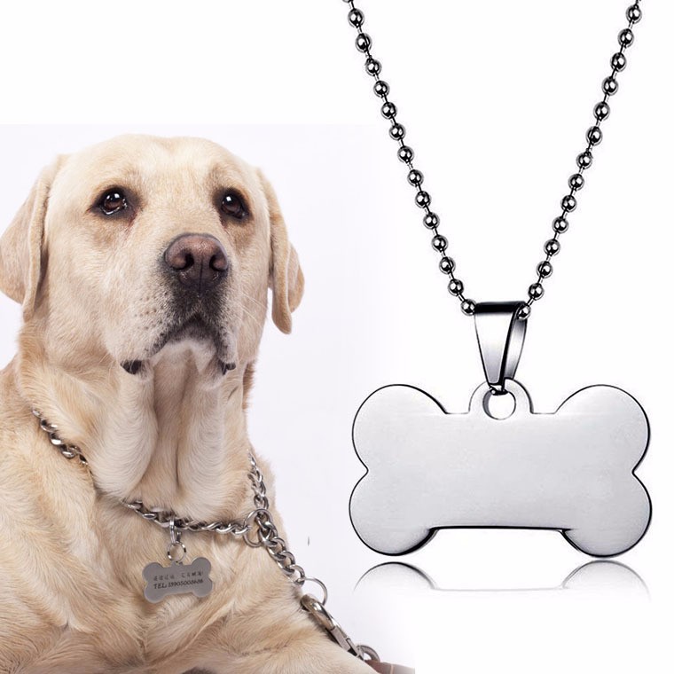 dog with necklace