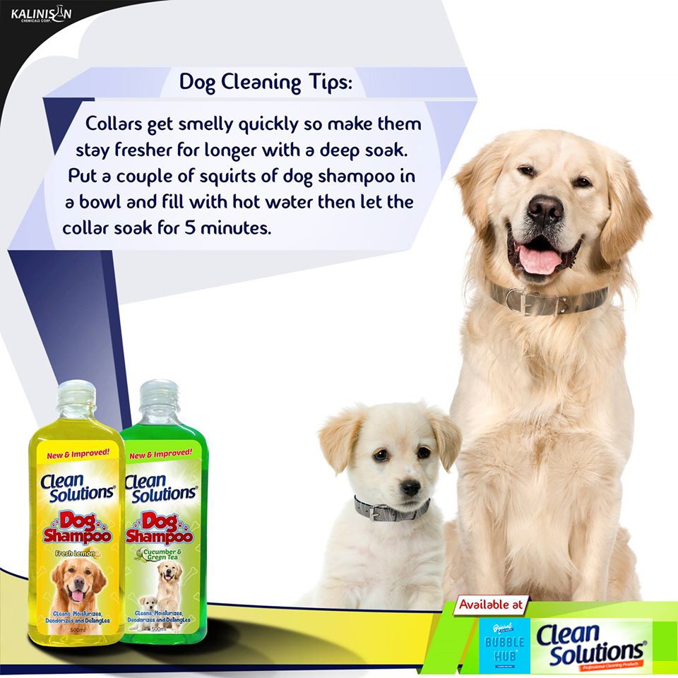 pet solutions dog shampoo