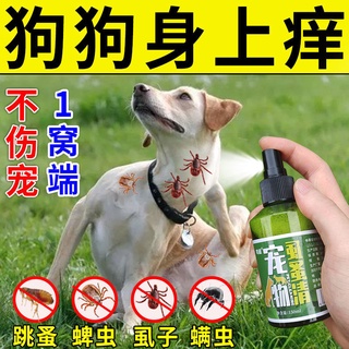 (Brand New)✸[Safety not afraid of licking] dog deworming medicine in addition to fleas, lice, ticks,