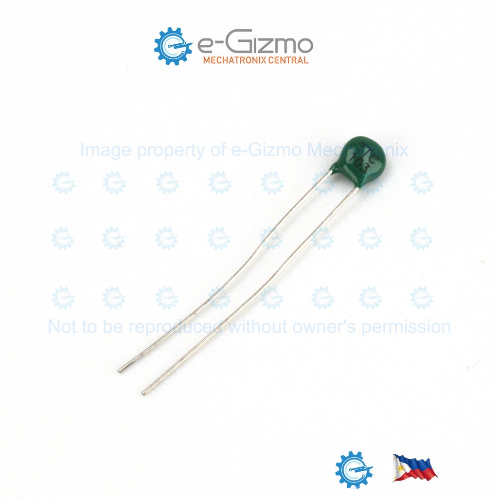 10K NTC Thermistor TTC05103JSY d5mm Shopee Philippines