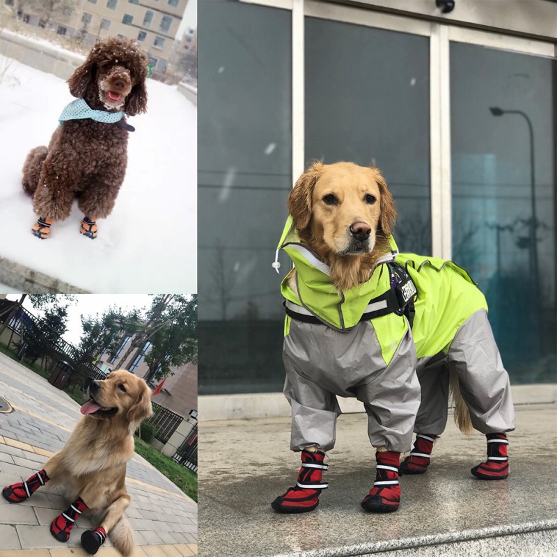 dog rain boots