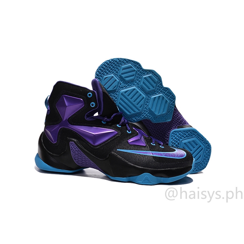 lebron james 13