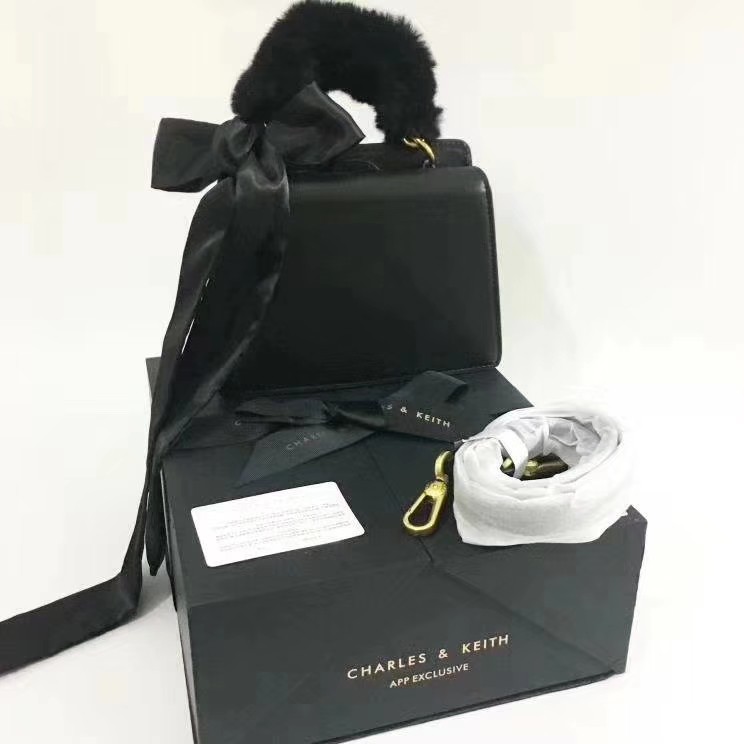 charles and keith box bag