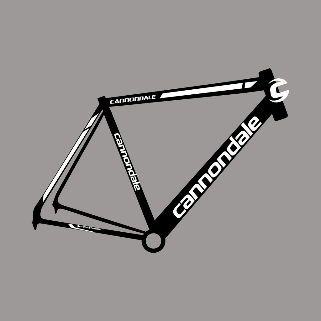 cannondale mtb frame price philippines