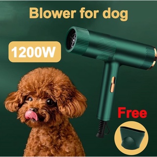 Pet Dryer Dog Portable Pet Hair Dryer Comb Pet Beauty Cat Dog Hair Low Noise Blower