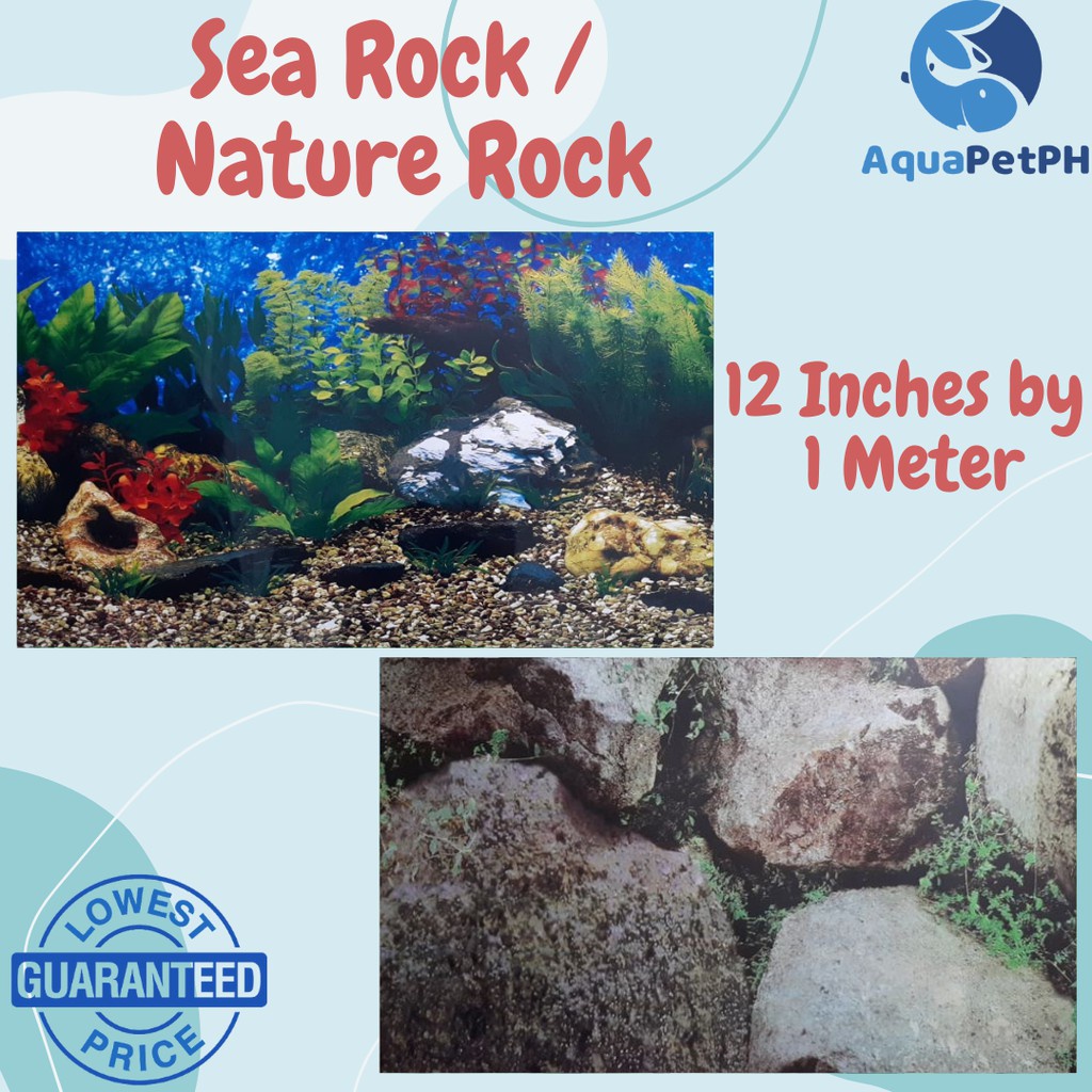 ▲#2 Colorful Aquarium Background Wallpaper 12 / 18 Inches With Back To Back Design - AquaPetPh #5