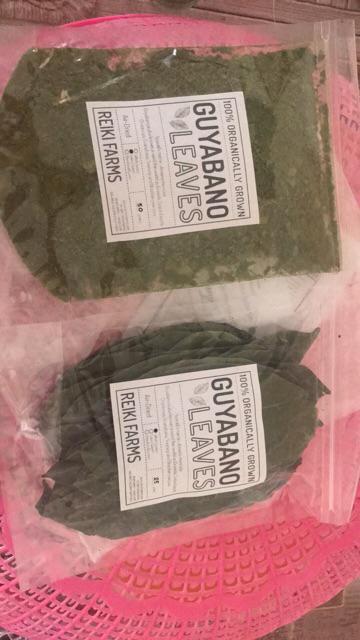 Reiki Farms Organic Guyabano Whole Leaves Cod Shopee Philippines