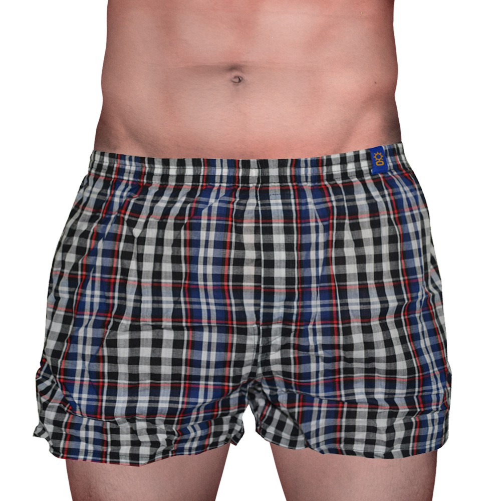 Sunjoy Checkered Boxer Shorts (Moss Green, Blue) | Shopee Philippines