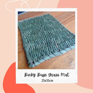 Binky Bugs Woven Grass Mat for Rabbit or Guinea Pig
