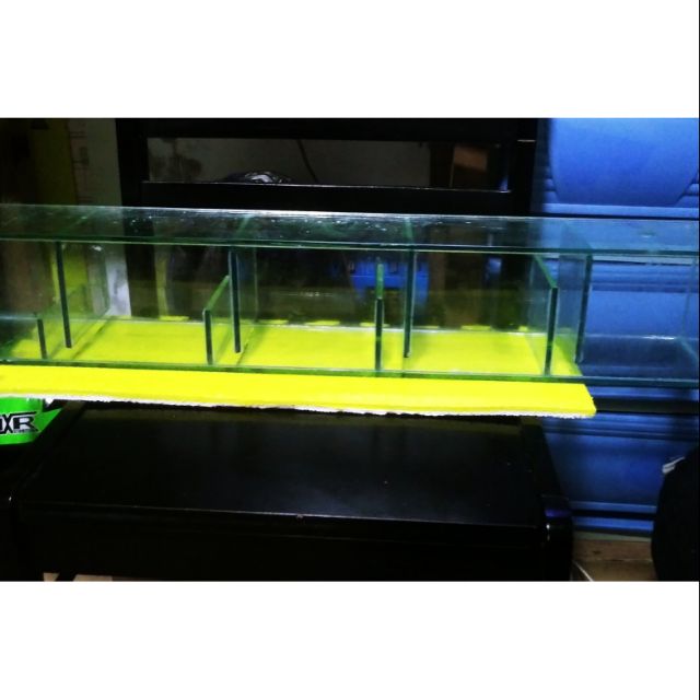 aquarium sump filter