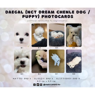 Daegal ( NCT Dream Chenle Dog / Puppy ) Fanmade Photocard | Shopee ...