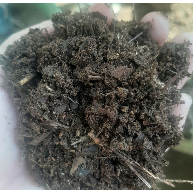 Compost Soil Alnos Pure Per Kilo Shopee Philippines