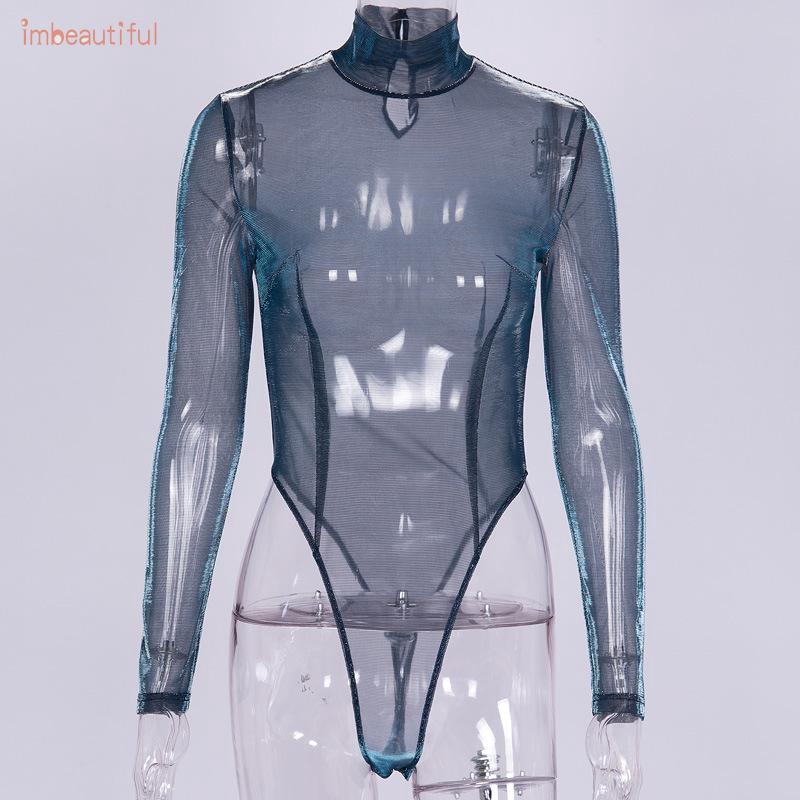 sheer turtleneck bodysuit