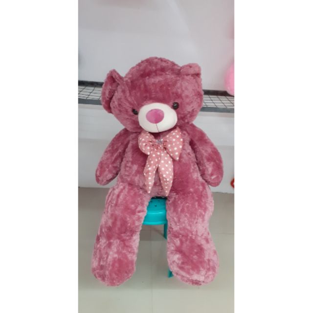4.5 feet teddy bear