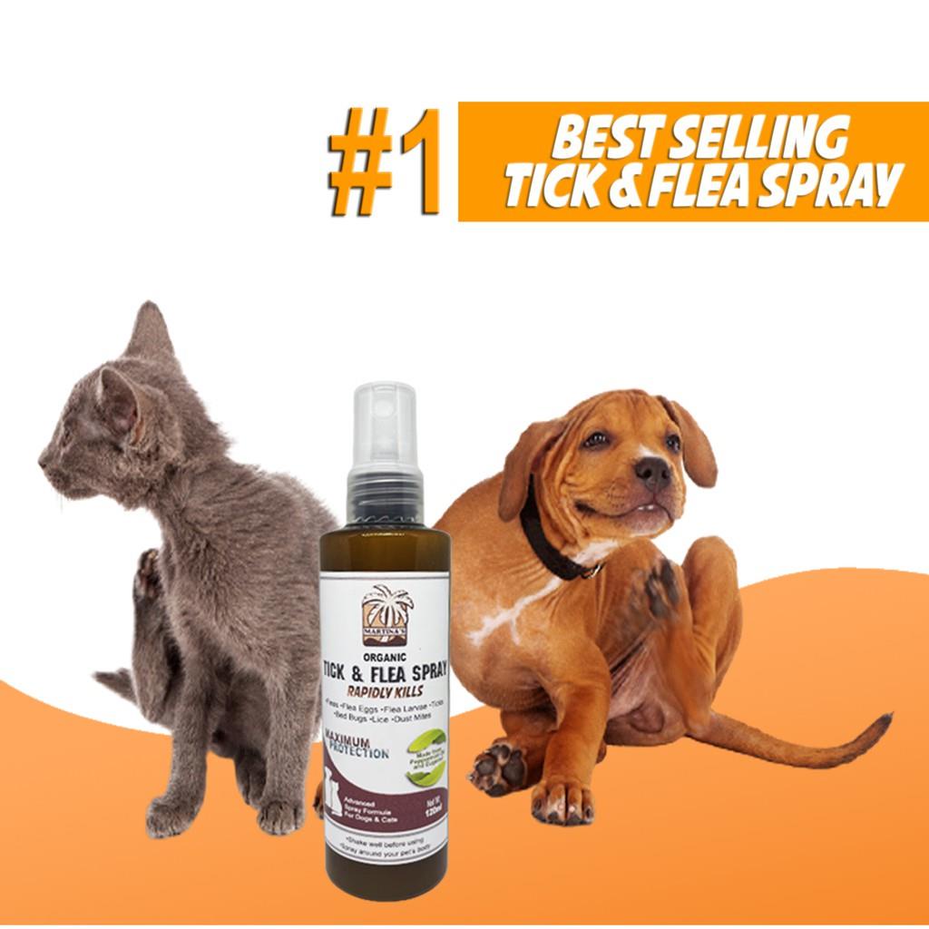 Best home remedy for fleas and ticks on outlet dogs