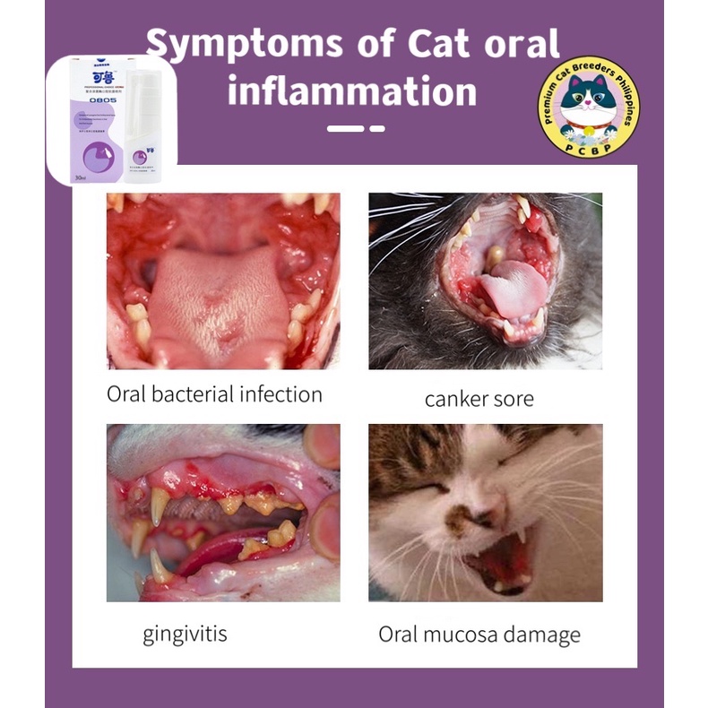 KALO Oral Spray for cats and dogs dental care oral ulcer gingivitis bad