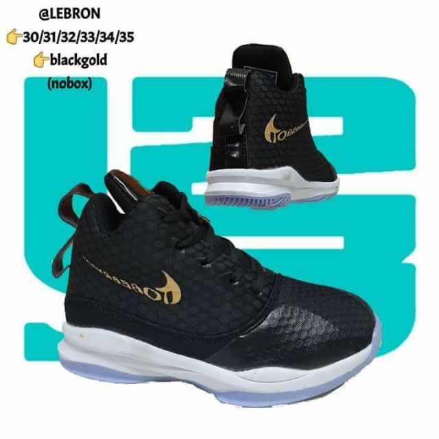 lebron 32 shoes