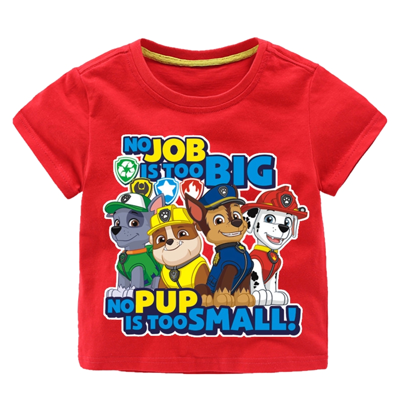 paw patrol for 5 year old boy