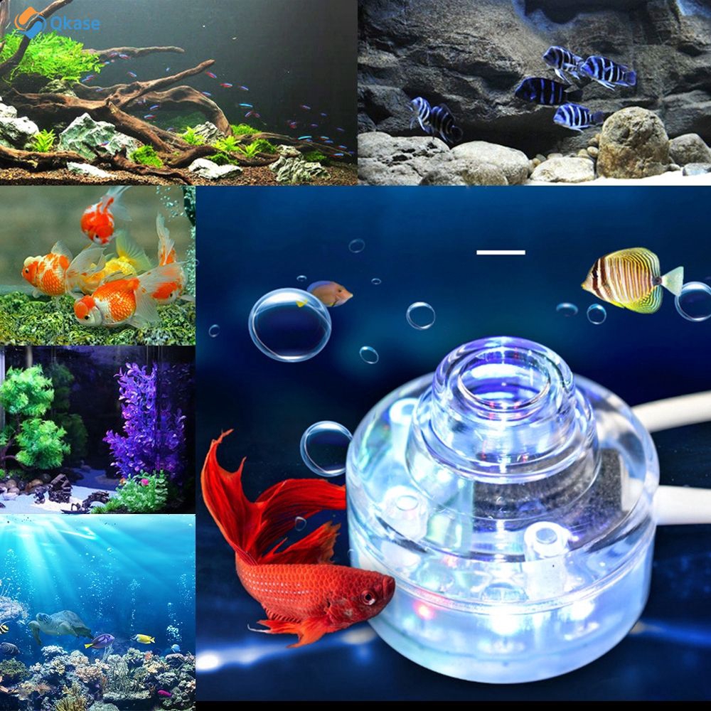aquarium decorations for sale