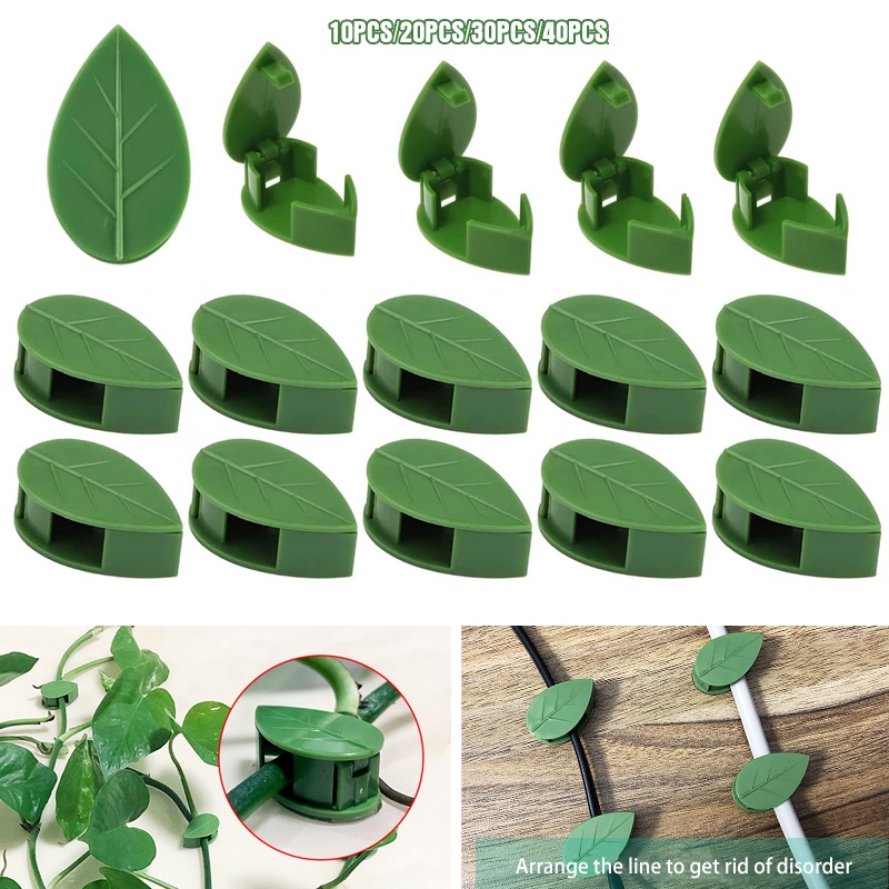 2022 NEW Invisible Plant Climbing Wall Fixture Rattan Vine Bracket